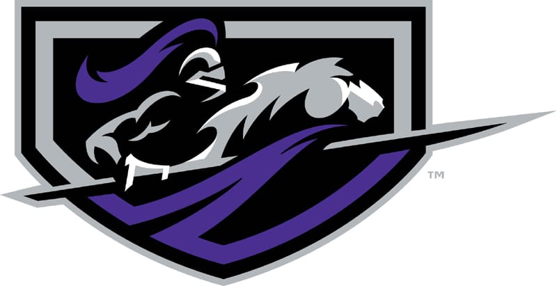 Middle georgia state